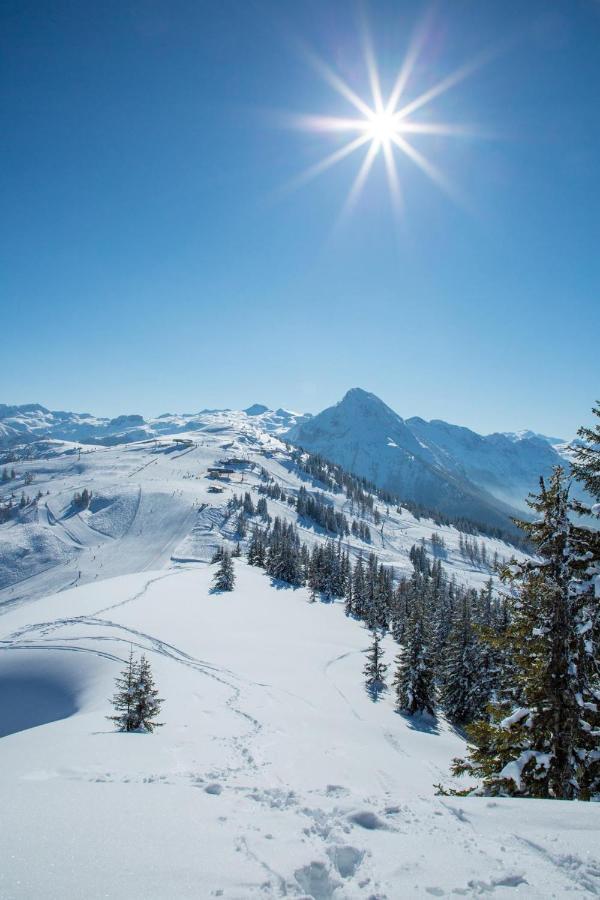 Hotel Alpenwelt Superior فلاخاو المظهر الخارجي الصورة